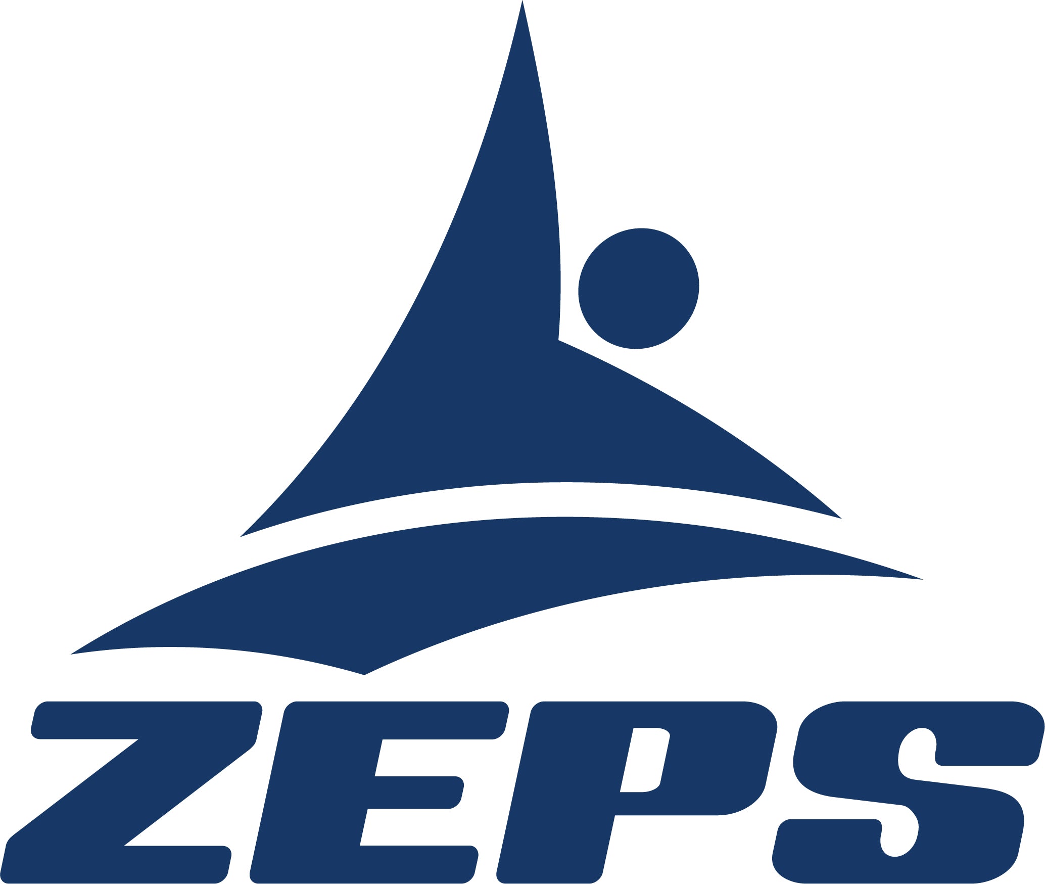 ZEPS STEIN